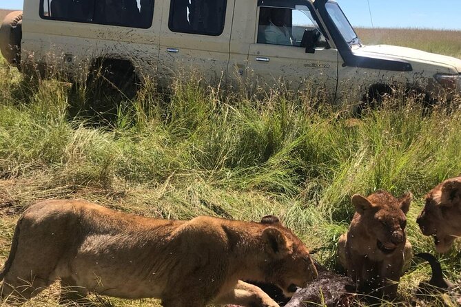 5 Days Classic Safari to Lake Manyara, Ngorongoro and Serengeti - Safety Measures
