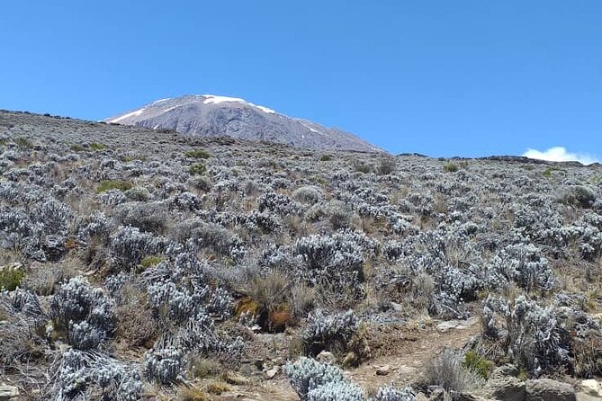 5 Days Climbing Mount Kilimanjaro Marangu Route - Cancellation Policy