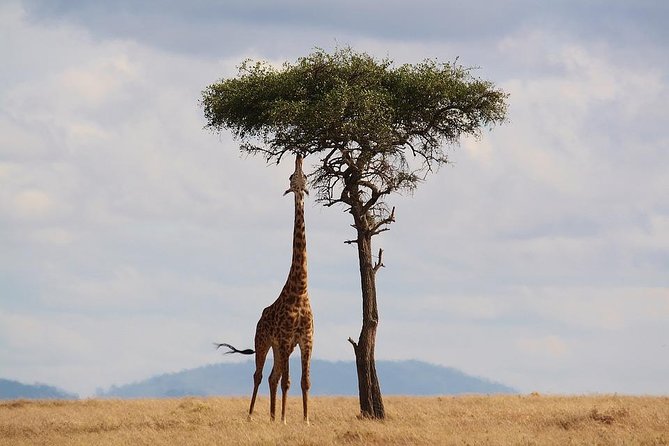 5 Days Kenya Budget Camping Safari Package - The Sum Up