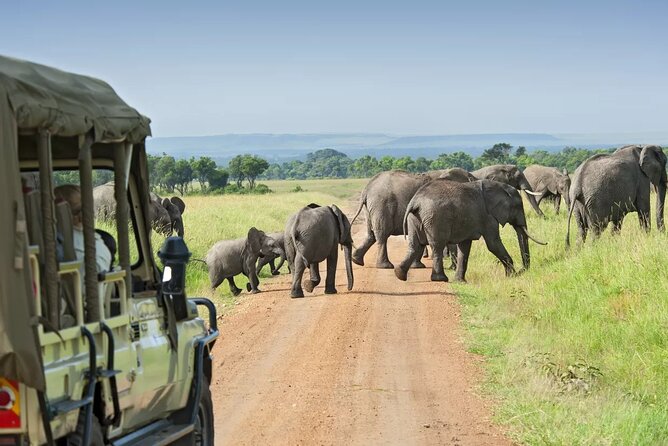 5 Days Maasai Mara And Riftvalley Lakes Safaris - Additional Amenities