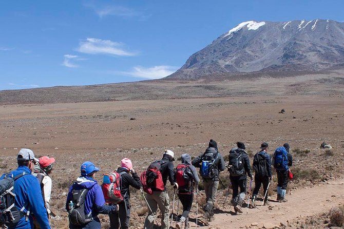 5 Days Marangu Route Kilimanjaro Trekking - Cancellation Policy and Pricing