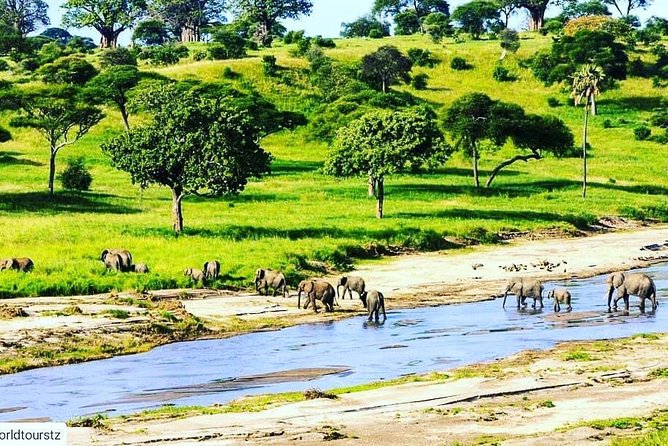 5 Days Mid-Range Lodge Safari To Lake Manyara , Serengeti & Ngorongoro. - Booking Process
