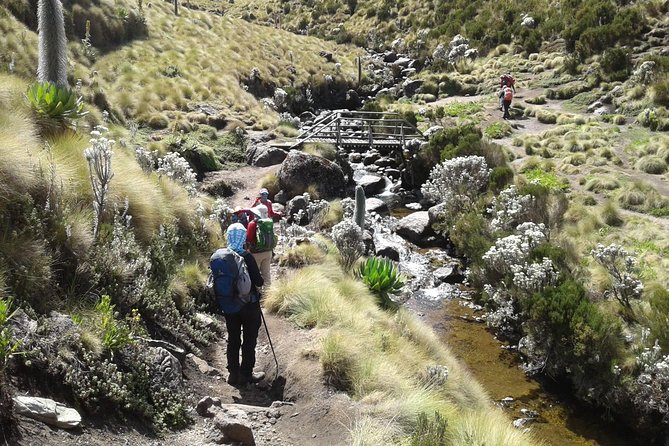 5-Days Mount Kenya, Lake Nakuru & Masai Mara Wildlife Safari - Cancellation Policy and Price Details