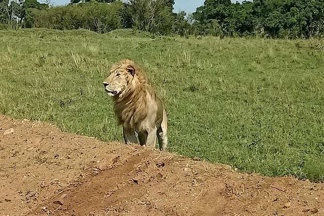 5 Days Olpejeta Conservancy & Solio Rhino Sanctuary - Booking Information