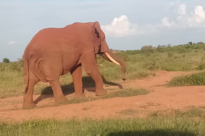 5 Days Safari Masai Mara +Hells Gate/ Lake Naivasha - Cancellation Policy and Booking Details