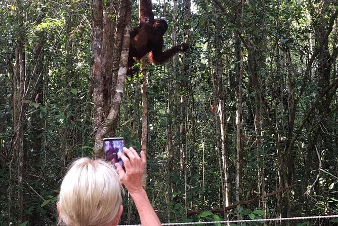 5 Days Truly Orangutan Tanjung Puting Wildlife & Dayak Arut - Cultural Immersion