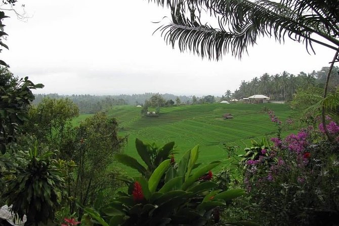5 Days West Bali Adventures - Day 5 Adventures