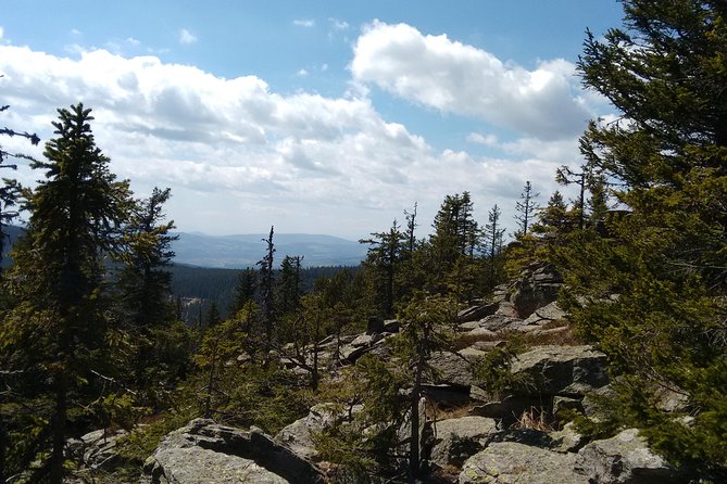 5-Hour Private Alpine Hiking Tour Wild Water at Hochwechsel - What To Expect