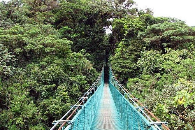 5-In-1 Monteverde Cloud Forest Experience With Ziplining and Hanging Bridges - Price and Meeting Details