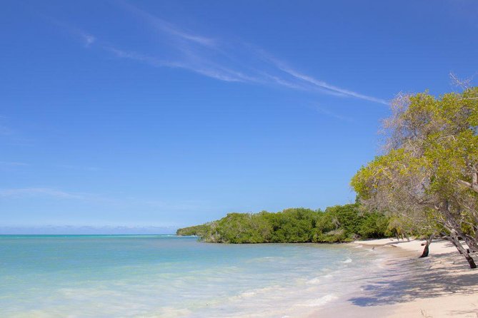 5 Islands With Snorkel Including - Best Times to Visit