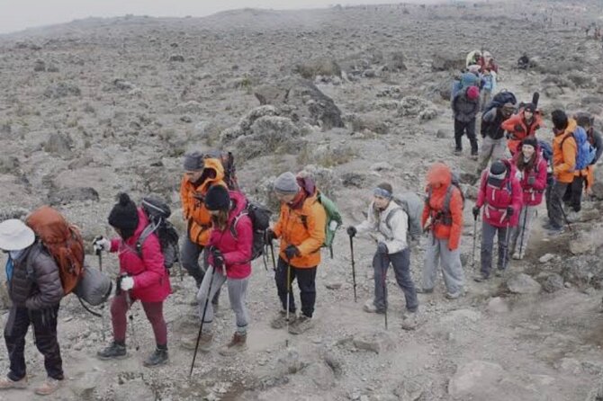 5 Nights and 6 Days on the Mount Kilimanjaro Marangu Route - Pickup Information