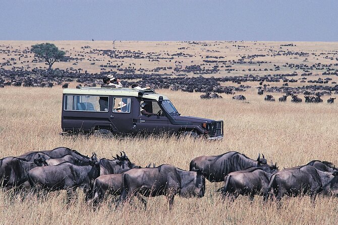 6 Day Big 5 Wildlife Safari Tour on 4x4 Land Cruiser Jeep - Safari Guide Information