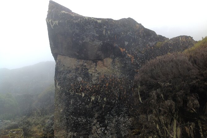 6-Day Mount Kilimanjaro Private Tour via Machame Route - Cancellation Policy Details