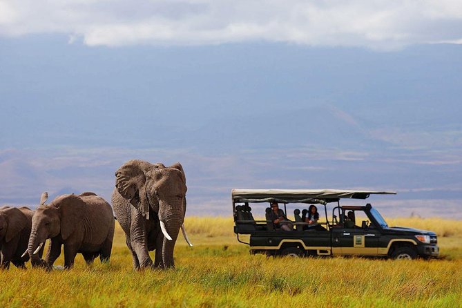 6 Days Amboseli, Lake Naivasha & Masai Mara Safari on 4x4 Jeep - Booking Information and Reservations