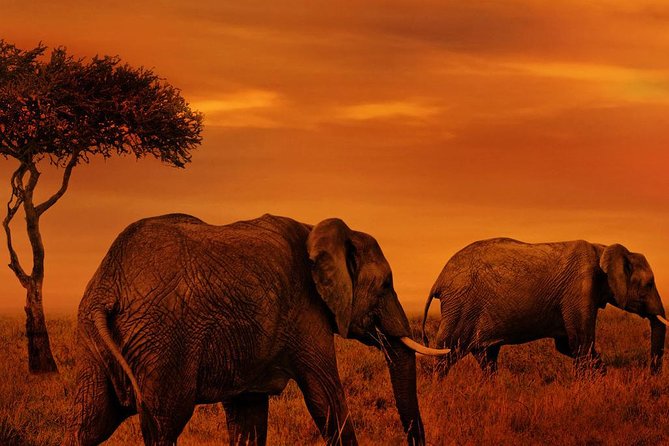 6 Days Lodge Safaris - Cancellation Policy
