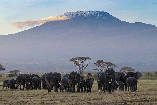 6 Days Marangu Route Kilimanjaro - Tips for Success