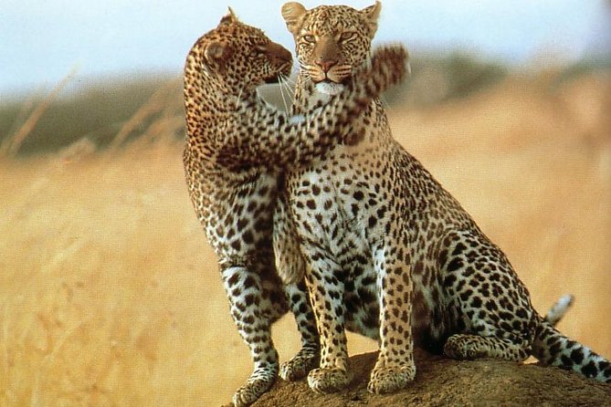 6 Days North Circuit Adventure – Luxury - Cancellation Policy