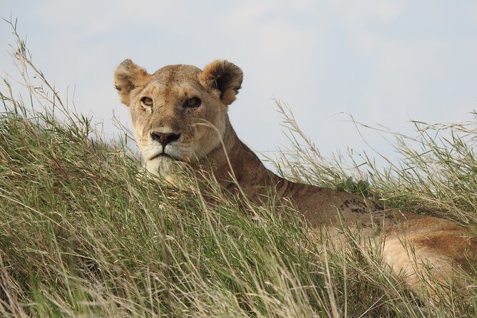 6 Days Private Safari With Mid-Range Lodges or Camps - Booking and Pricing Information