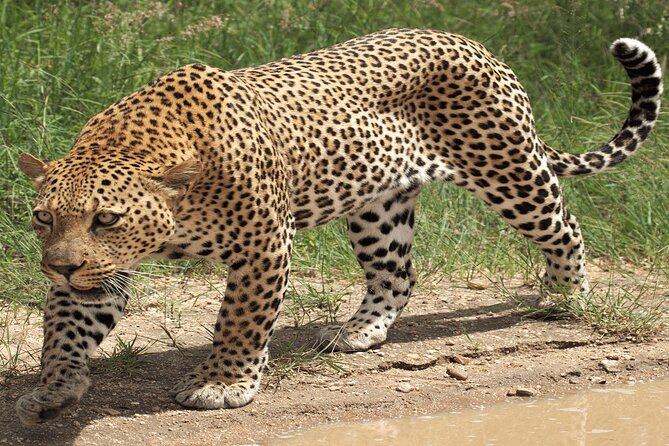6 Days Private Tour With Two National Parks and More - What To Expect During the Tour