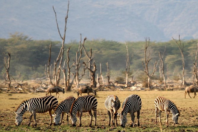6 Days Safari Lake Manyara, Serengeti, Ngorongoro Crater - Park and Crater Fees