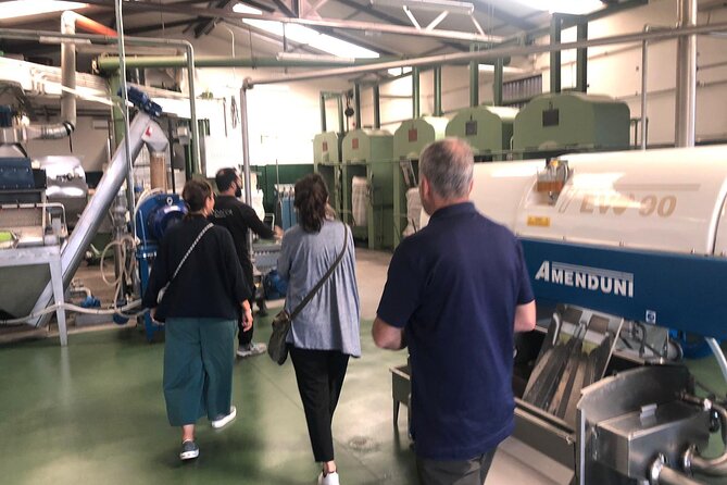 6-Hour Activities on Etna With Wine and Olive Oil Tasting - Transportation Details