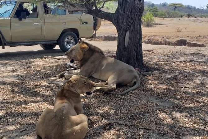 7 Day Experience Wildlife Nature and Culture Mikumi / Udzungwa & Ruhaa Park - Important Booking Information