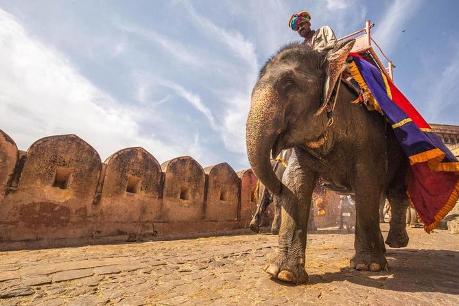 7 Day Private Golden Triangle Tour With Ranthamboure by Car - Inclusions and Exclusions