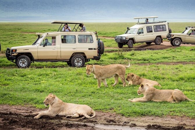 7-Day Private Northern Tanzania Safari - Cultural Experiences