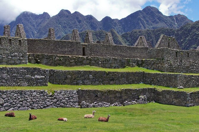 7-Day Trip-The Best of Peru With Machuppichu - Day 4: Machu Picchu Adventure