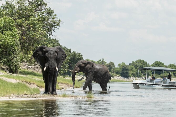 7 Days 6 Nights Victoria Falls- Chobe -Savuti Adventure - Pricing Information