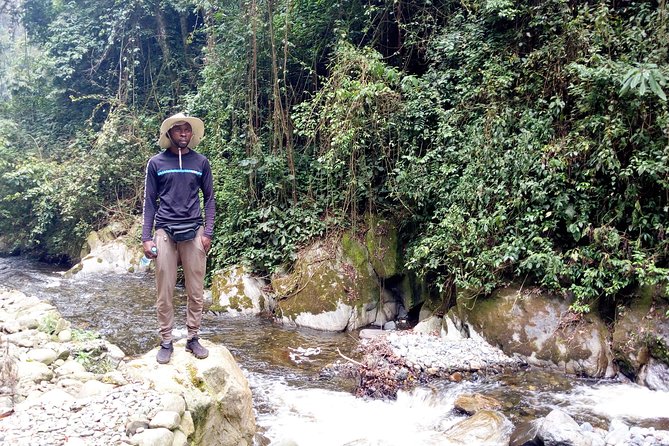 7 Days DR Congo Rwenzori Mountain Hiking – Panoramic Views (4462 M Alt) - Safety Measures and Guides