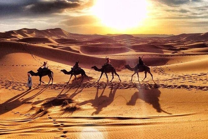 7 Days : From Casablanca to Marrakech via : Fes & Merzouga Desert - Day 4: Merzouga Desert Adventure