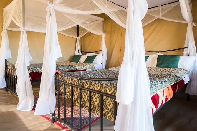 7 Days Kenya and Tanzania Wildlife Safari - Safari Activities