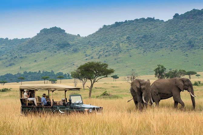 7 Days Kenya Cycling Wildlife Tour Adventure - Inclusions and Exclusions