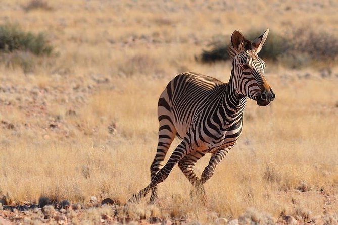 7 Days-Lake Manyara, Olduvai Gorge, Serengeti, Ngorongoro Crater & Tarangire - Daily Activities Schedule
