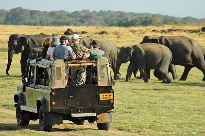 7 Days Masai Mara and Diani Beach Flying Luxury Safari - High End - Tour Logistics and Transfers