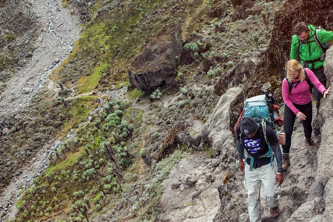 7 Days Mount Kilimanjaro Machame Route Climb