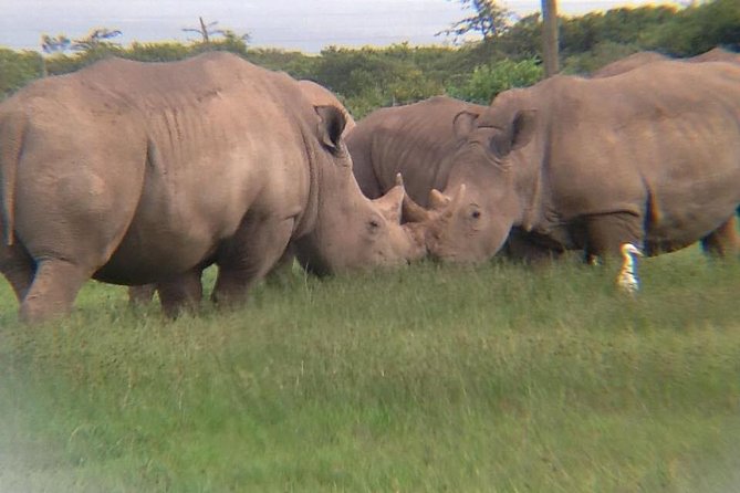 7 Days Salt-Lick Safari - Health and Safety Guidelines
