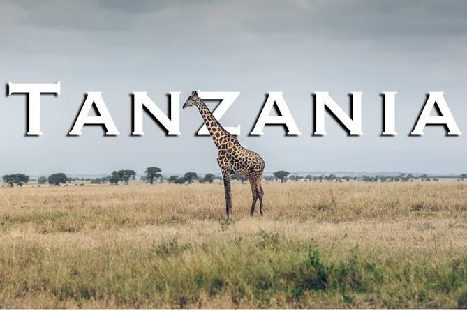 7 Days - Serengeti Wildebeest Migration Safari - Cancellation Policy