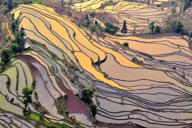 7-Days Tour From Lijiang to Kunming to and Overnight in Yuanyang Rice Terraces - Pickup and Meeting Instructions