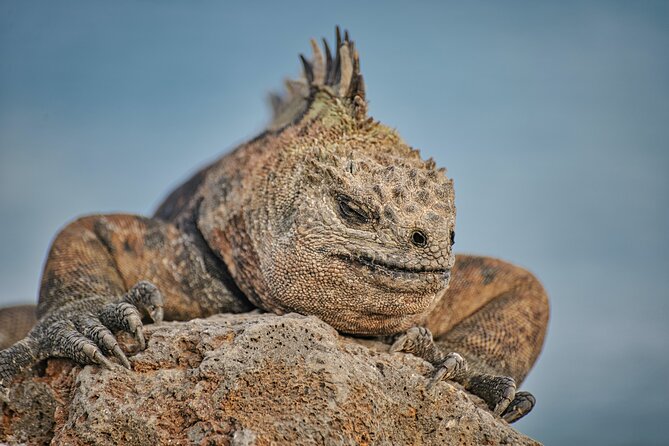 7 Days Tour - Guayaquil and Santa Cruz/Galapagos - Best of Ecuador - Transportation Details