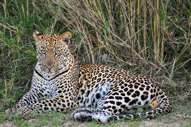 7 Days Uganda Primates and Wildlife Private Safari - Booking and Cancellation Policy