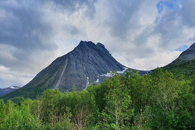 7day - Private Tour of Norway/ Lofoten and Tromso - General Information and Operator Details