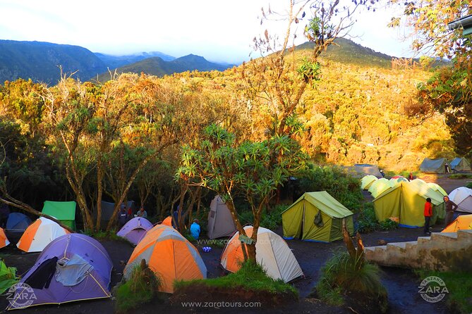 8-Day Mount Kilimanjaro Hiking Tour From Arusha - Group Size and Pricing