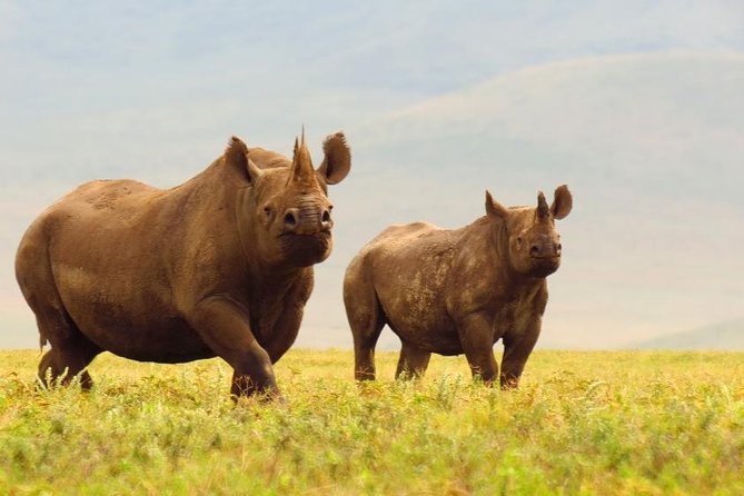 8 Days Budget Camping Tanzania - Price and Booking Information