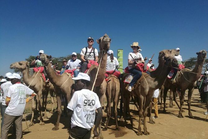 8 Days Lake Turkana Safari Camping Adventure - Scenic Highlights and Landmarks