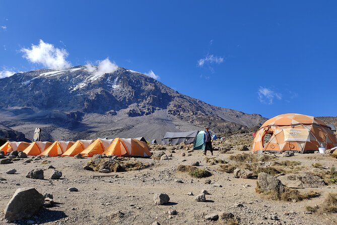 8 Days Mount Kilimanjaro Climb Lemosho Route - Frequently Asked Questions