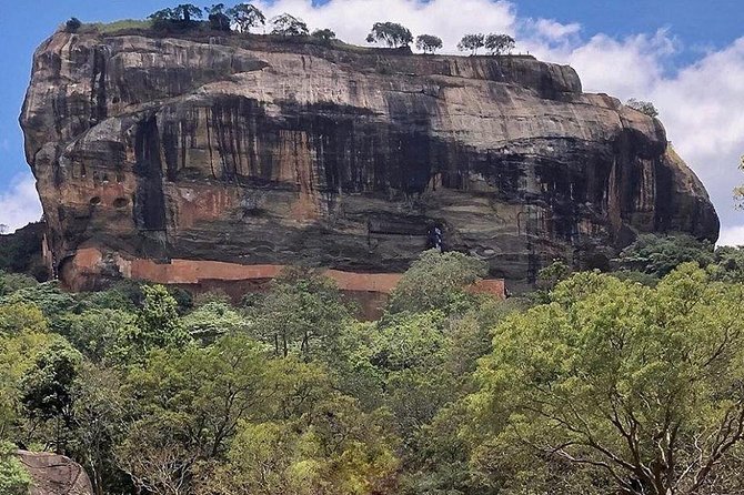 8 Days Private Cycling Tour of Sri Lanka From Colombo - Meals and Exclusions