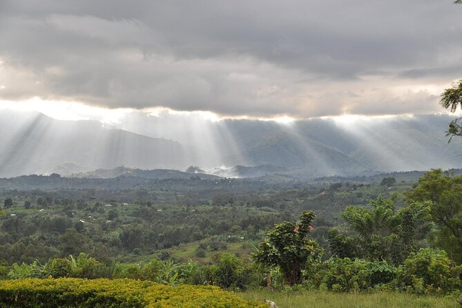 8 Days Private Wildlife Tour in Uganda - Diverse Wildlife Encounters