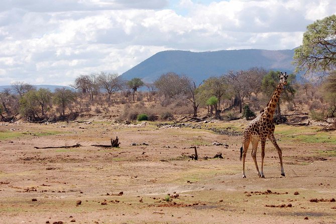 8 Days Tanzania Southern Circuit Safari - Inclusions and Exclusions